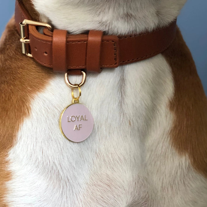 Loyal AF Pet ID Tag - Pink