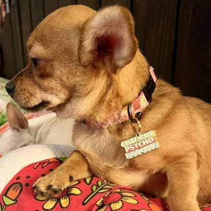 Cute But Psycho Pet ID Tag