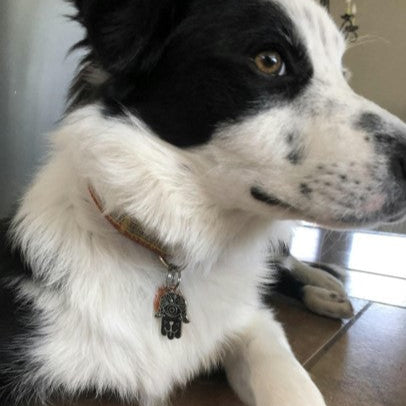 Hamsa Black Pet ID Tag - Silver