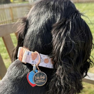 I'm Lost, Gold & Navy Pet ID Tag