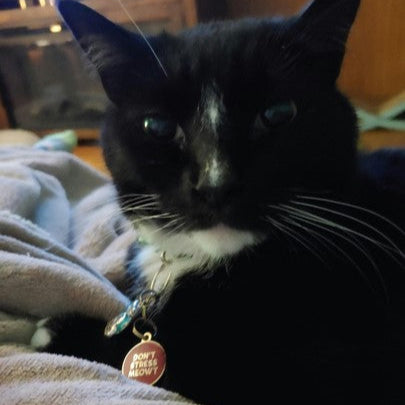 Don't Stress Meowt Pet ID Tag