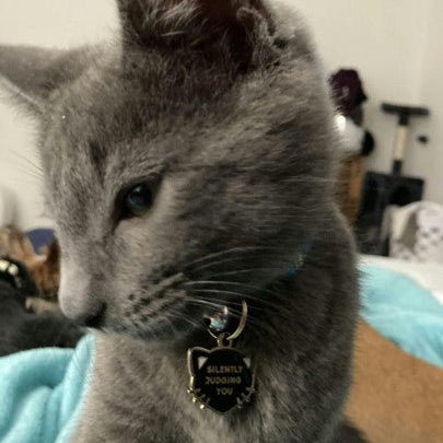 Silently Judging You Pet ID Tag - Black