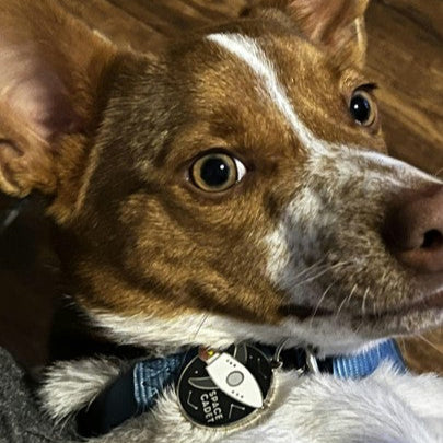 Space Cadet Pet ID Tag