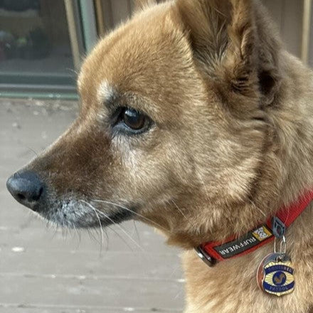 Squirrel Patrol Pet ID Tag