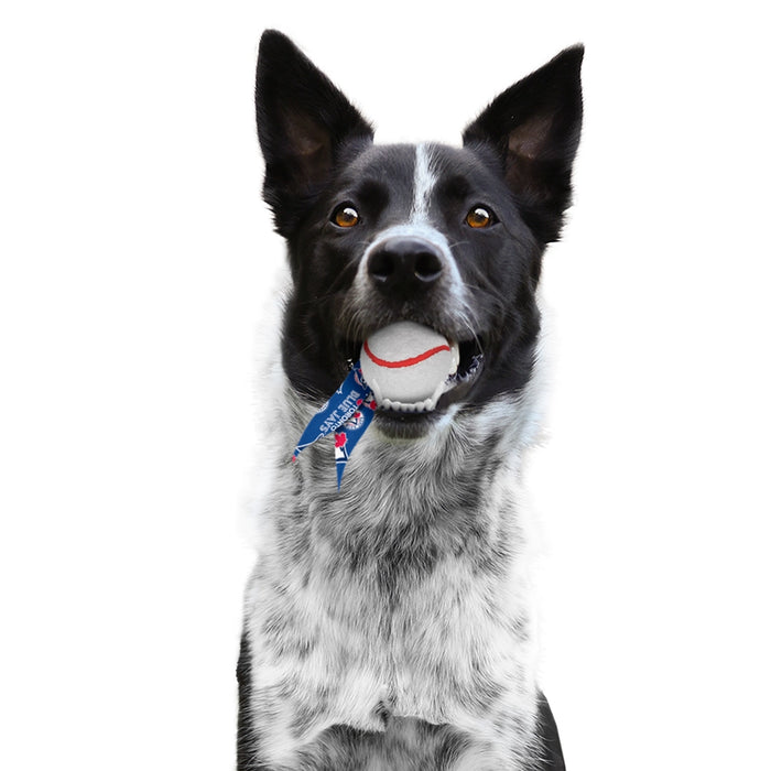 Toronto Blue Jays Pet Ball Launcher Toy