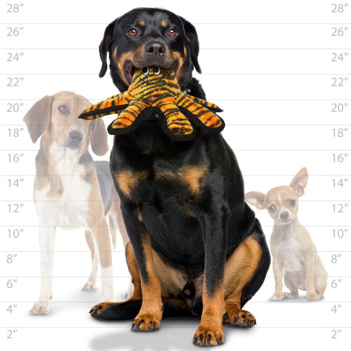 Tuffy MEGA Small Octopus - Oscar Schwarzacreature