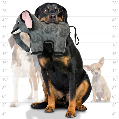 Tuffy Zoo Series - Emery Elephant Tough Toy