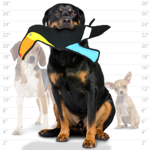 Tuffy Zoo Series - Togo Toucan Tough Toy