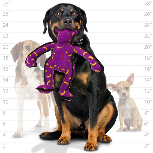 Tuffy Zoo Series - Morris Monkey Tough Toy