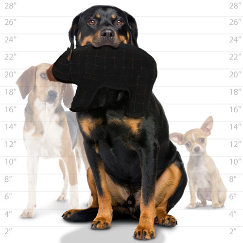 Tuffy Zoo Series - Beaufort Bear Tough Toy