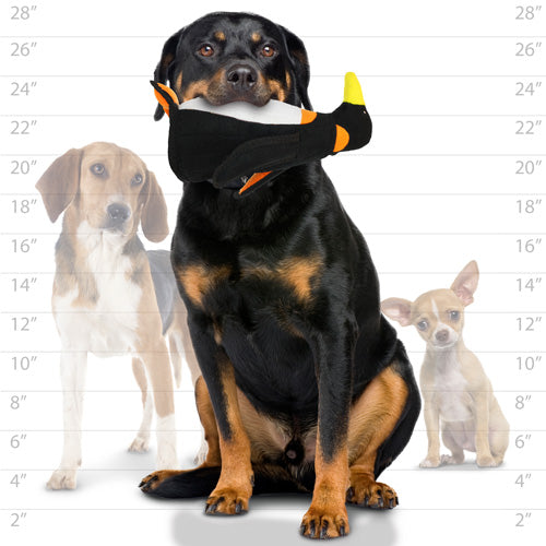 Tuffy Zoo Series - Peabody Penguin Tough Toy