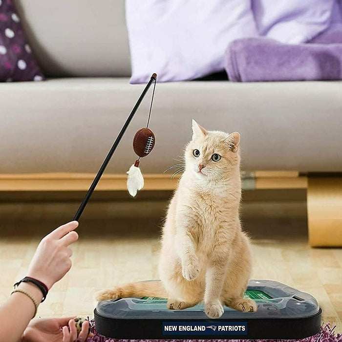 Las Vegas Raiders Football Cat Scratcher Toy