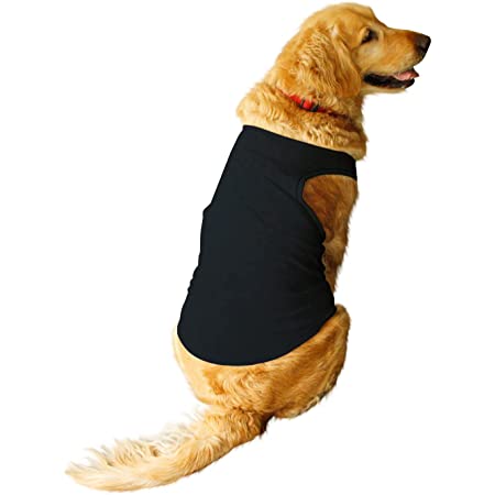 Big Dog Jet Black All-Cotton Sleeveless Shirt