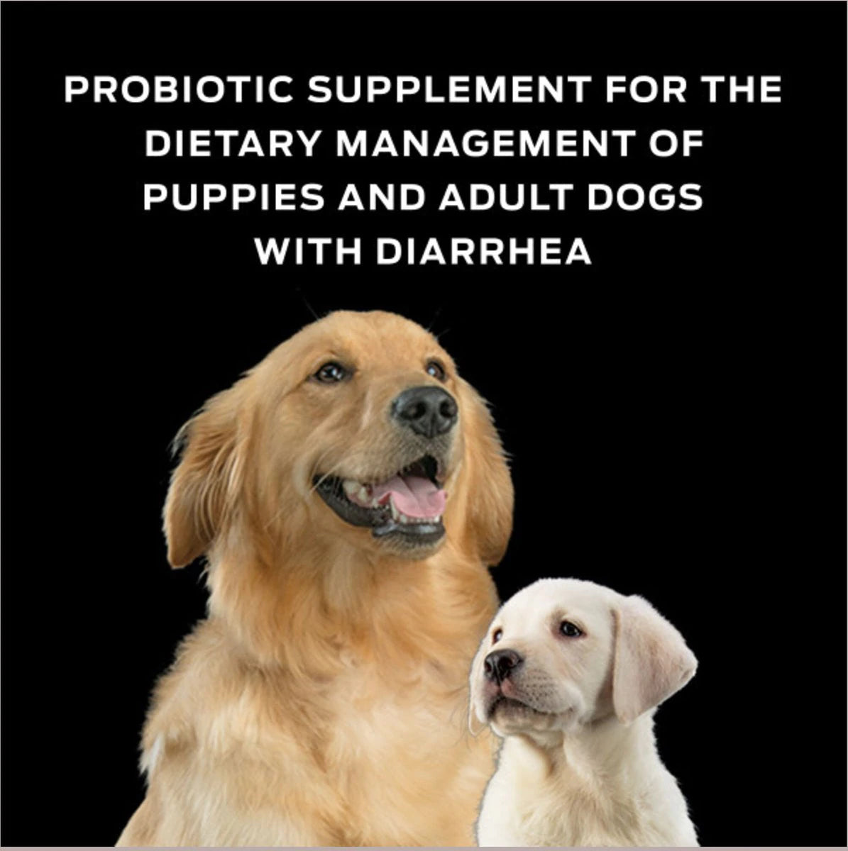 Purina FortiFlora Canine Probiotic Supplement - 30 g Powder
