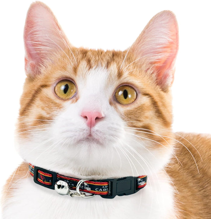 AZ Cardinals Cat Satin Collar