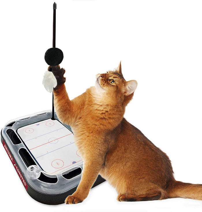 AZ Coyotes Hockey Rink Cat Scratcher Toy