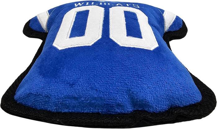 KY Wildcats Jersey Tough Toys