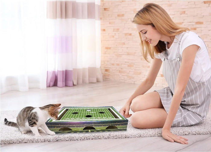 LSU Tigers Football Stadium Cat Scratcher Toy