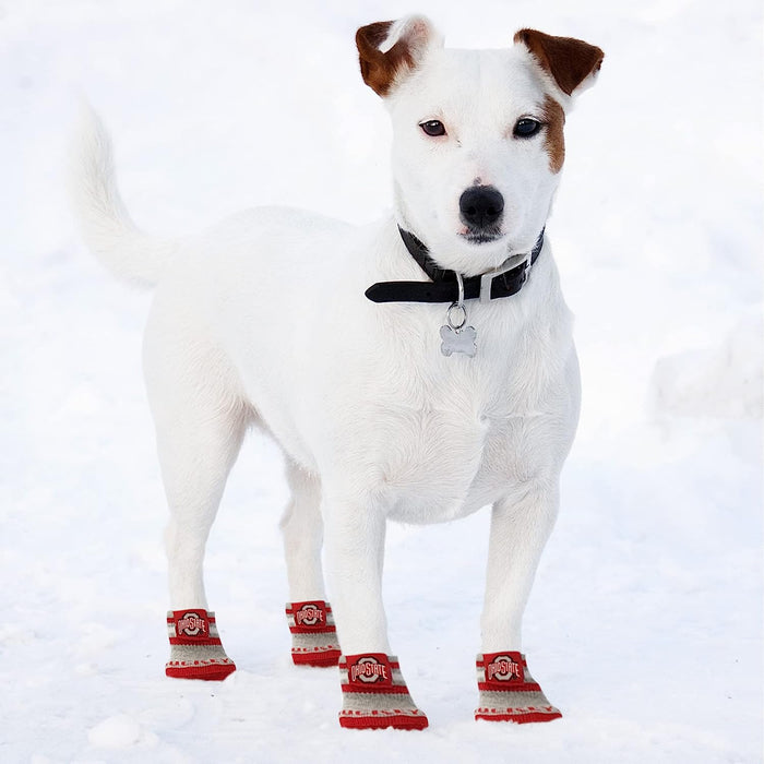OH State Buckeyes Anti-Slip Dog Socks