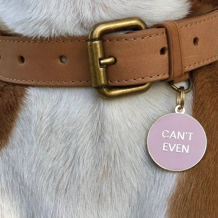 Can't Even Pet ID Tag