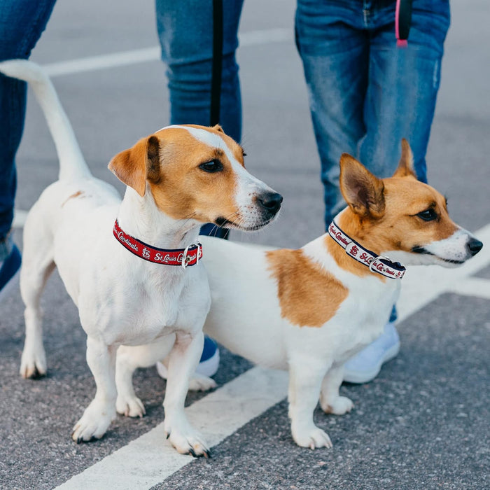 St Louis Cardinals Reversible Dog Collar