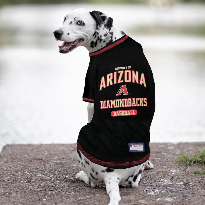 AZ Diamondbacks (Dbacks) Athletics Tee Shirt