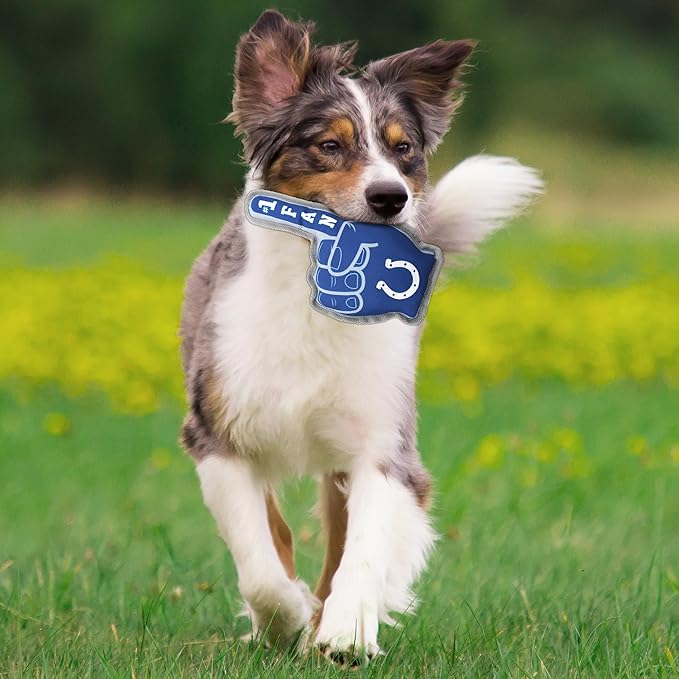 Indianapolis Colts #1 Fan Toys