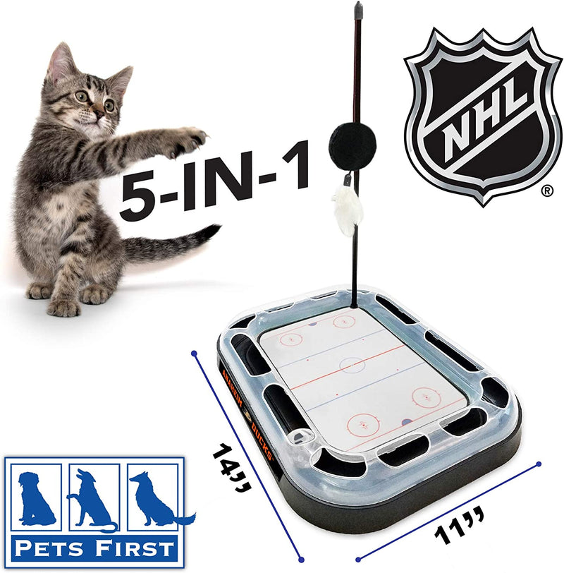 Anaheim Ducks Hockey Rink Cat Scratcher Toy