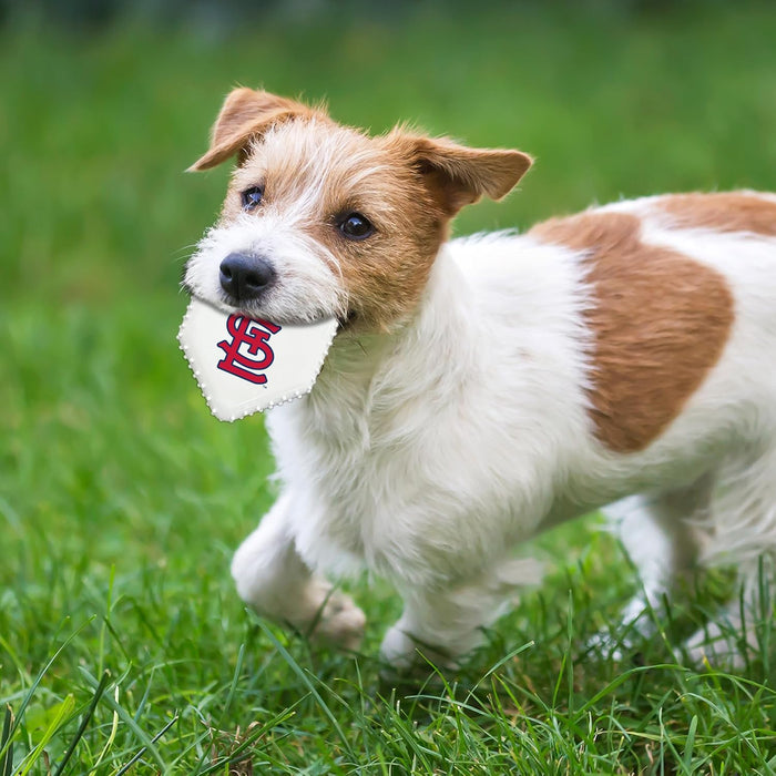 St Louis Cardinals Hard Nylon Home Plate Chew Toy