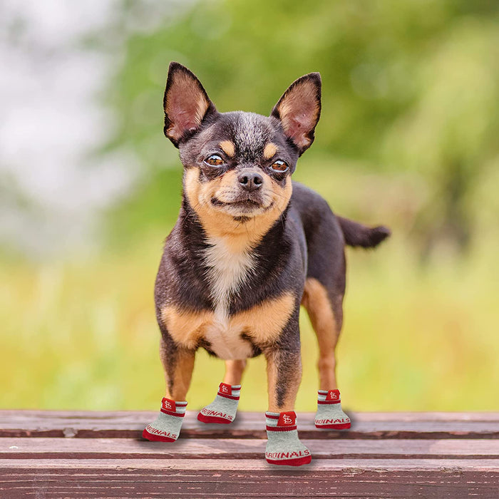 St Louis Cardinals Anti-Slip Dog Socks