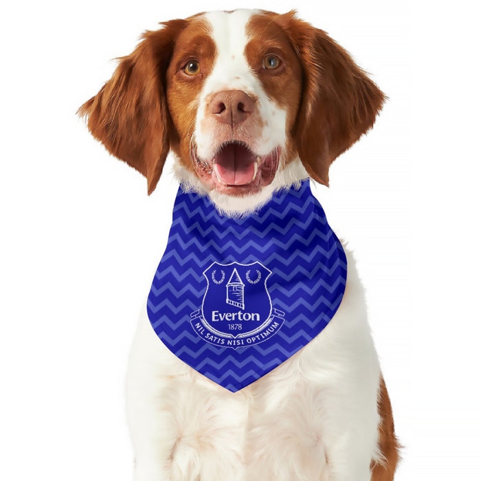 Everton FC 25/26 Home Kit Inspired Reversible Bandana