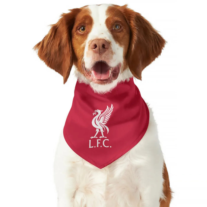 Liverpool FC 25/26 Home Kit Inspired Reversible Bandana