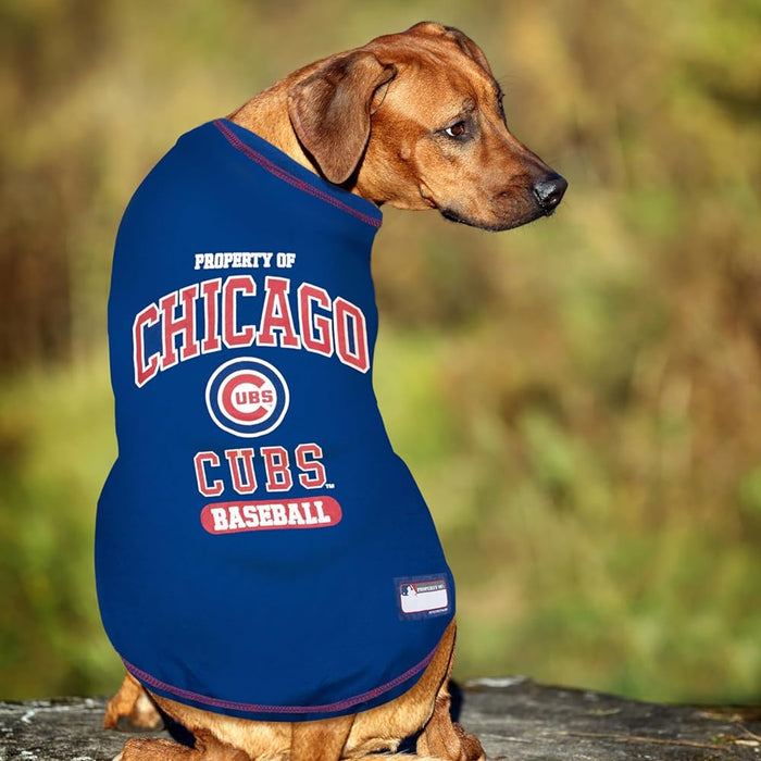 Chicago Cubs Athletics Tee Shirt