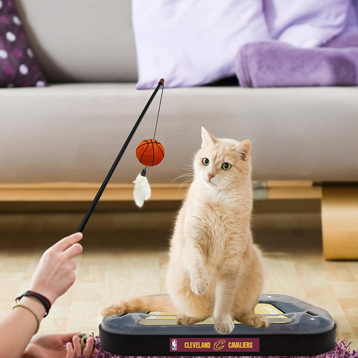 Cleveland Cavaliers Basketball Cat Scratcher Toy