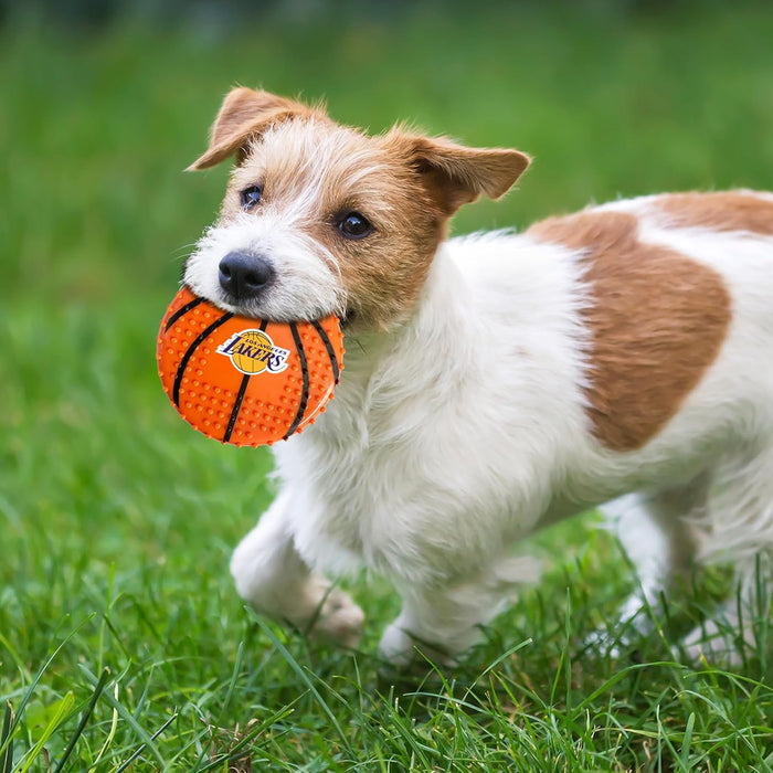 Los Angeles Lakers Hard Nylon Basketball Chew Toy