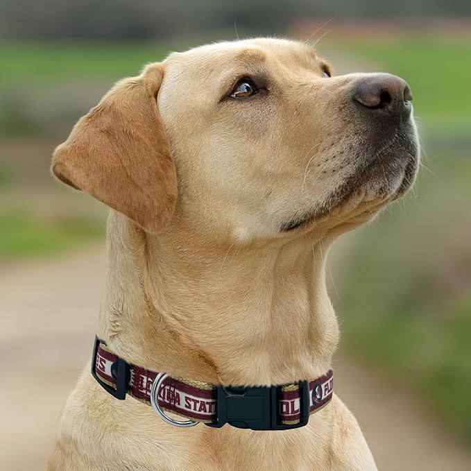 FL State Seminoles Dog Satin Collar or Leash