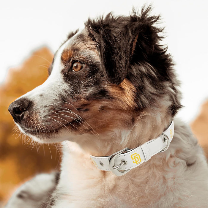 San Diego Padres Pro Dog Collar