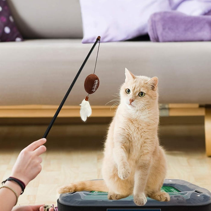 New York Giants Football Cat Scratcher Toy