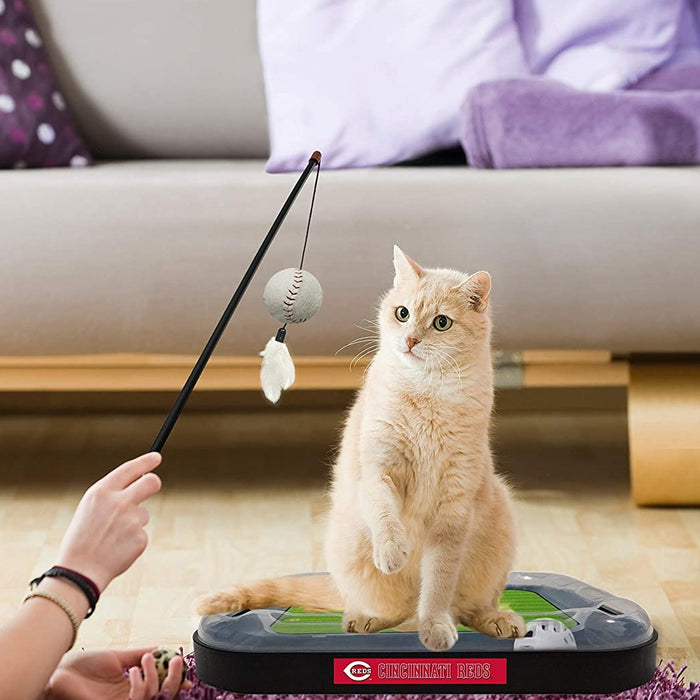 Cincinnati Reds Baseball Cat Scratcher Toy