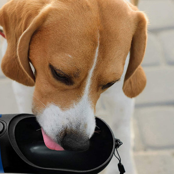 Pittsburgh Pirates Pet Water Bottle