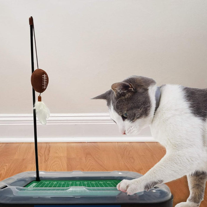 OR Ducks Football Cat Scratcher Toy
