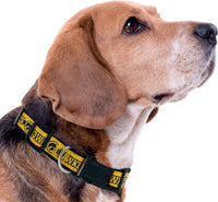 IA Hawkeyes Dog Satin Collar or Leash