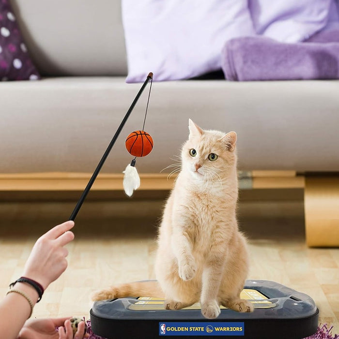 Golden State Warriors Basketball Cat Scratcher Toy