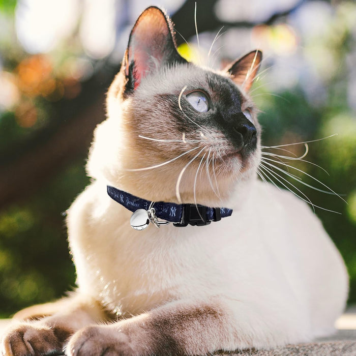 New York Yankees Cat Satin Collar