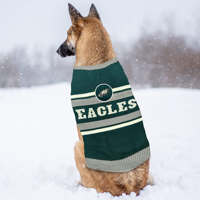 Philadelphia Eagles Colorblock Pet Sweater