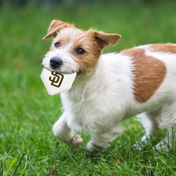 San Diego Padres Hard Nylon Home Plate Chew Toy