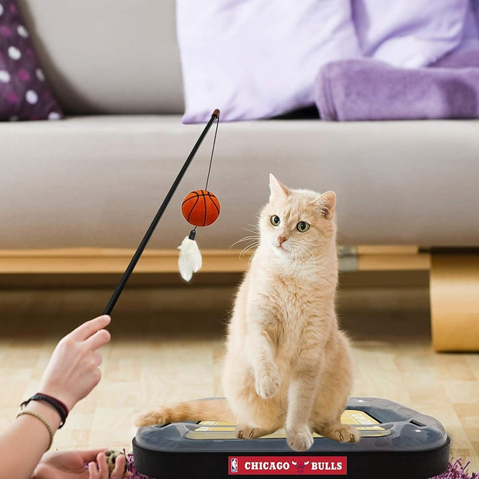 Chicago Bulls Basketball Cat Scratcher Toy