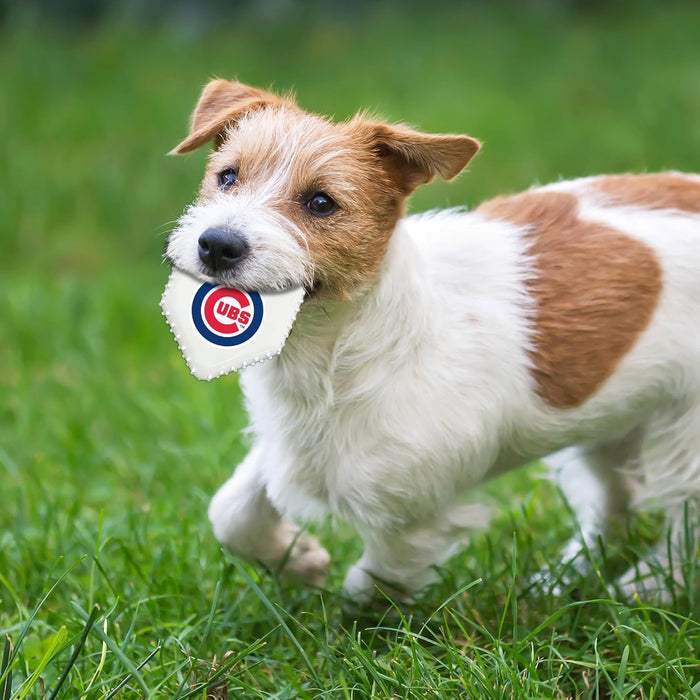 Chicago Cubs Hard Nylon Home Plate Chew Toy
