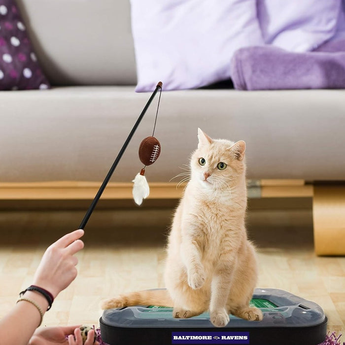 Baltimore Ravens Football Cat Scratcher Toy