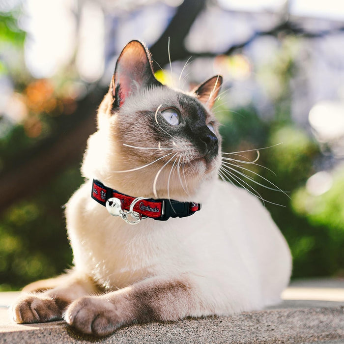 St Louis Cardinals Cat Satin Collar